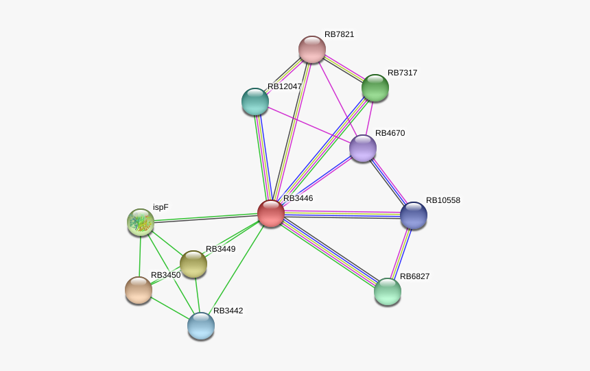 Rb3446 Protein - Circle, HD Png Download, Free Download