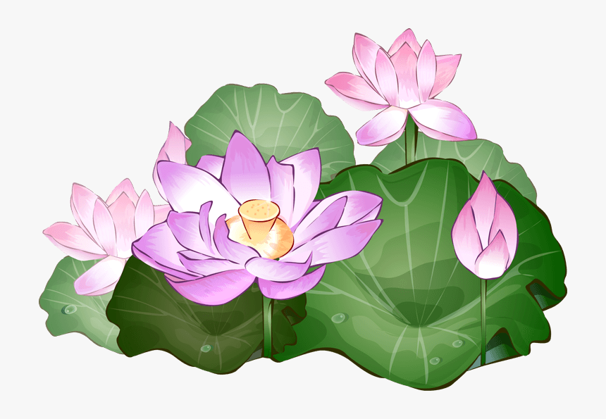 Lotus Flower Clip Art, HD Png Download, Free Download