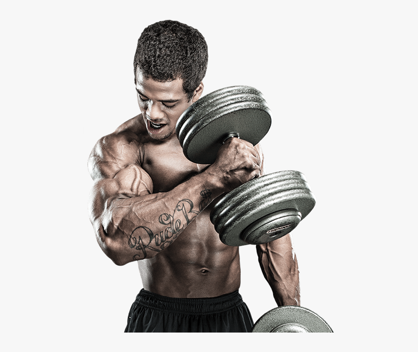 About1 - Gym Workout Png, Transparent Png, Free Download