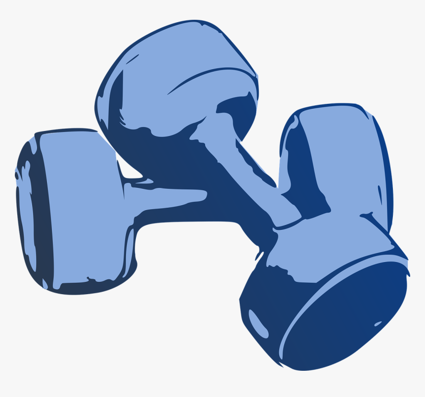 Dumbbell, Fitness, Hantelki, Gym, Training, Health - Cartoon Dumbbell  Transparent, HD Png Download - kindpng