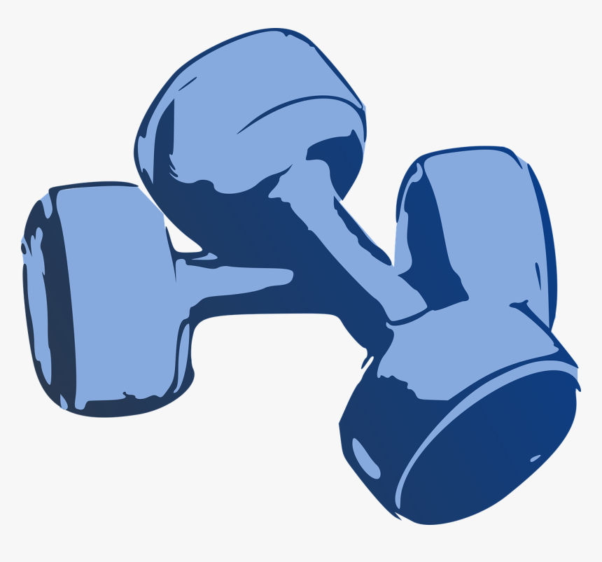 Dumbbell, Fitness, Hantelki, Gym, Training, Health - Cartoon Dumbbell Transparent, HD Png Download, Free Download