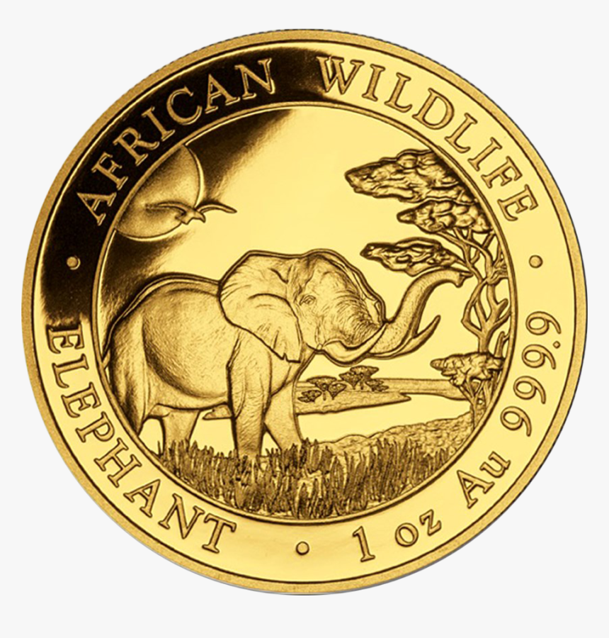 2020 Somalia Elephant 1 Oz Silver, HD Png Download, Free Download