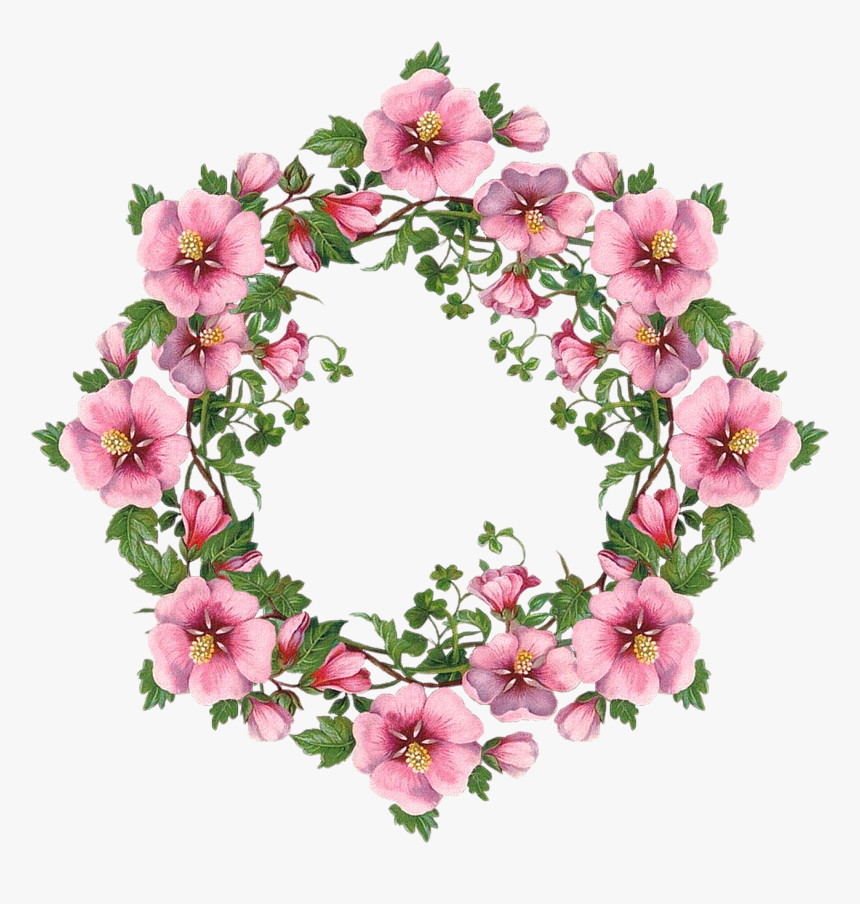 Scrapbook Images, Flower Frame, Flower Art, Flower, HD Png Download, Free Download