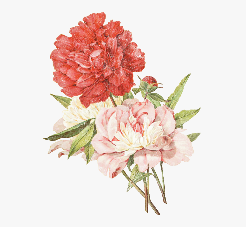 Bigflower - Bouquet, HD Png Download, Free Download