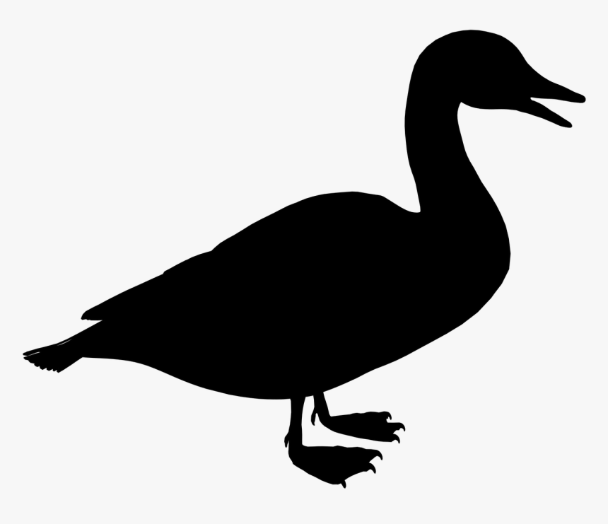 Duck Black & White - Siluet Bebek, HD Png Download, Free Download