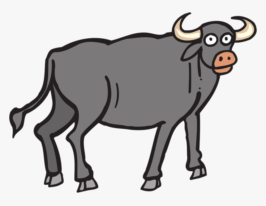 Ox Clip Free - Buffalo Clipart, HD Png Download, Free Download