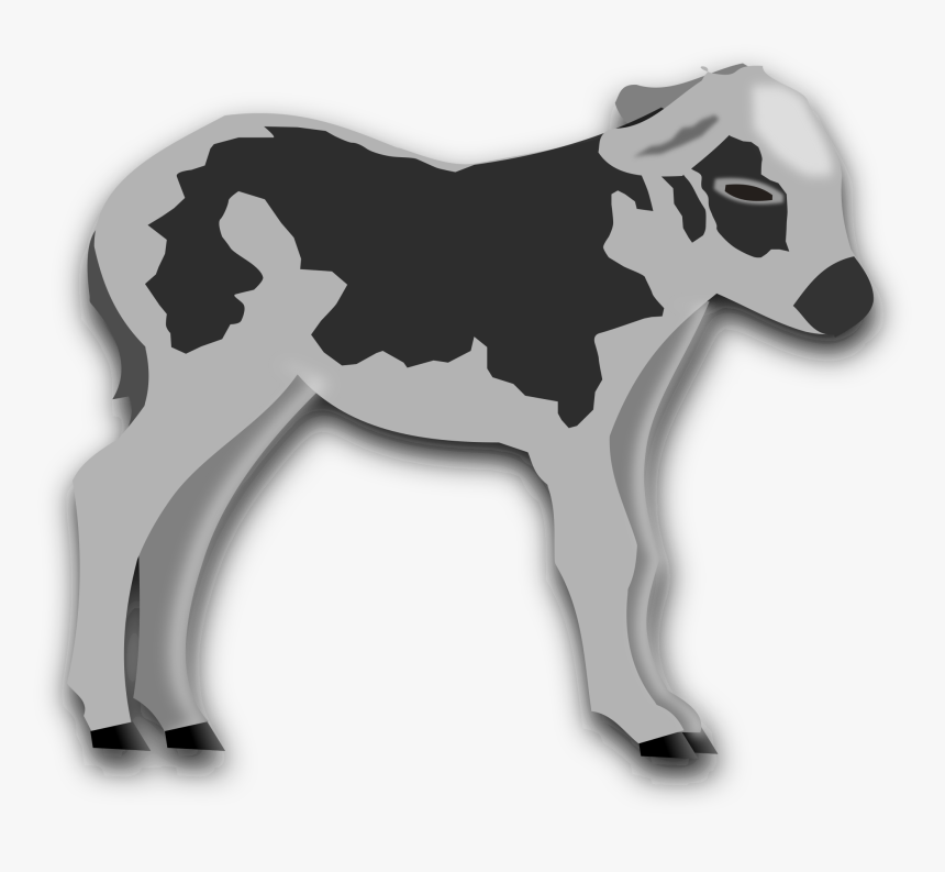 Calf Clip Arts - Kalb Clipart, HD Png Download, Free Download