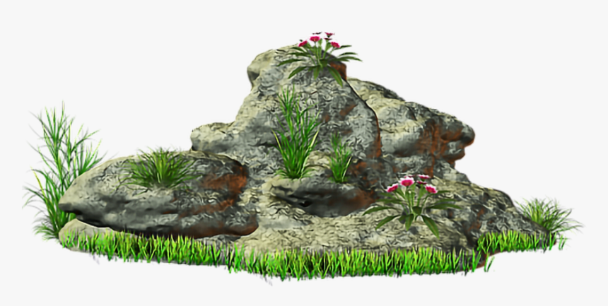 #rock #stone #grass @ladymariacristina - Small Stone With Grass Png, Transparent Png, Free Download