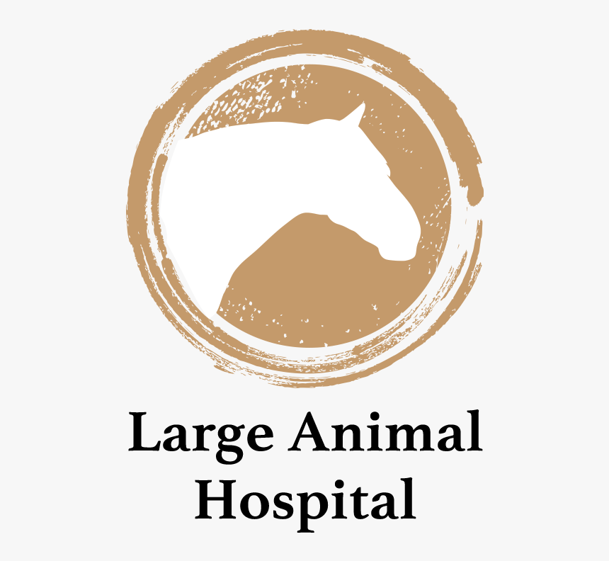 Largeanimal - Sentara Martha Jefferson Hospital, HD Png Download, Free Download