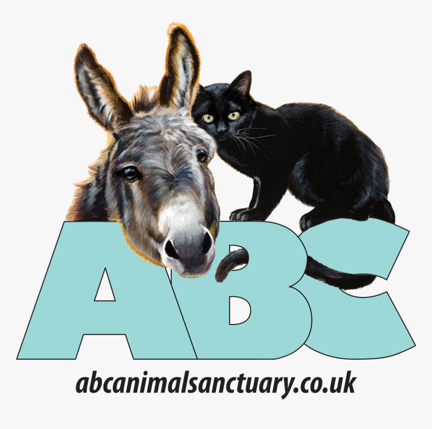 Abc Logo Png - Burro, Transparent Png, Free Download