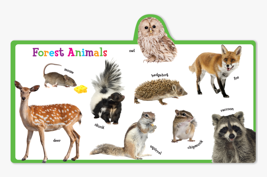 Transparent Wild Animals Png - Deer, Png Download, Free Download