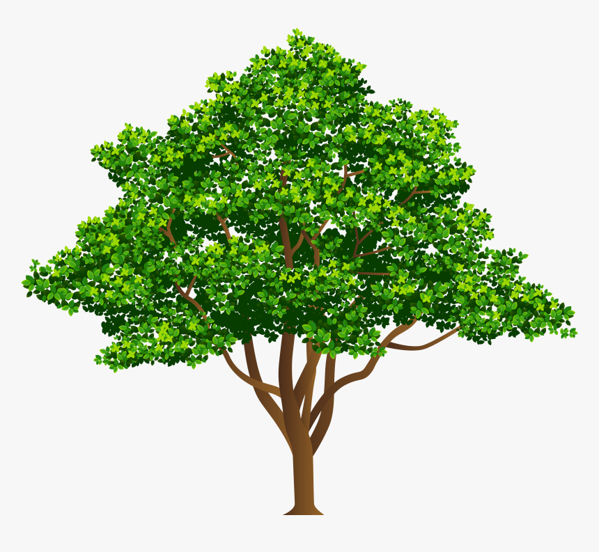 Free Png Trees - りんご の 木 イラスト, Transparent Png, Free Download