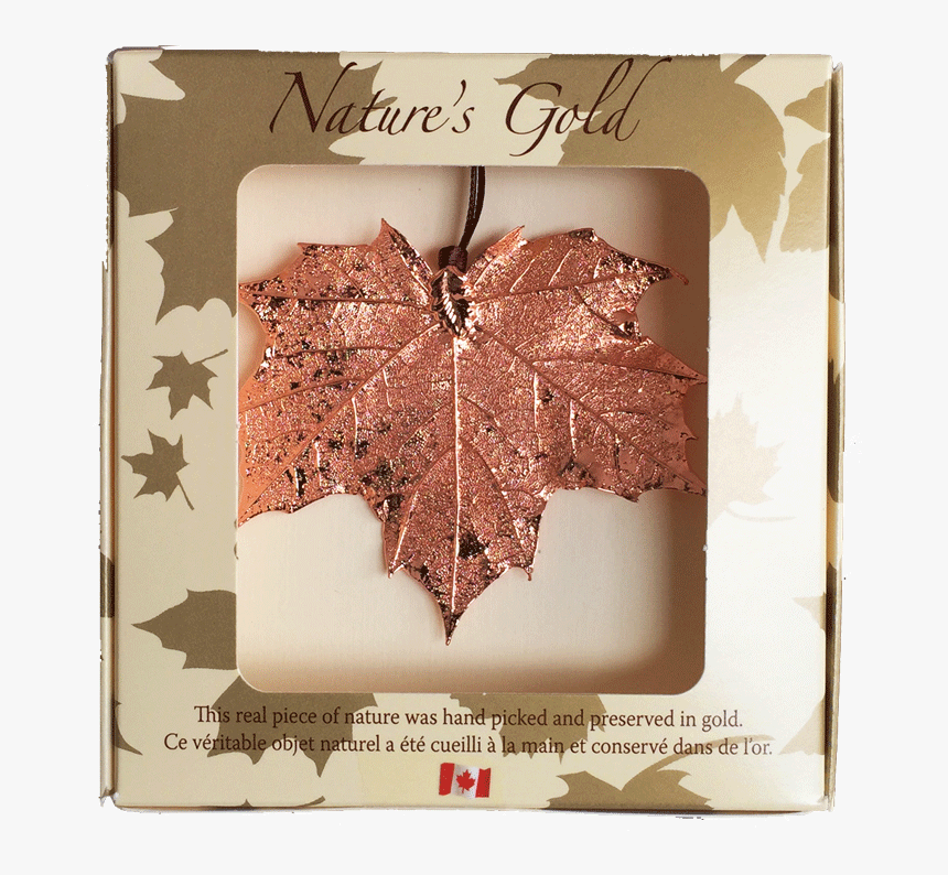 Natural Maple Leaf In Canada, HD Png Download, Free Download