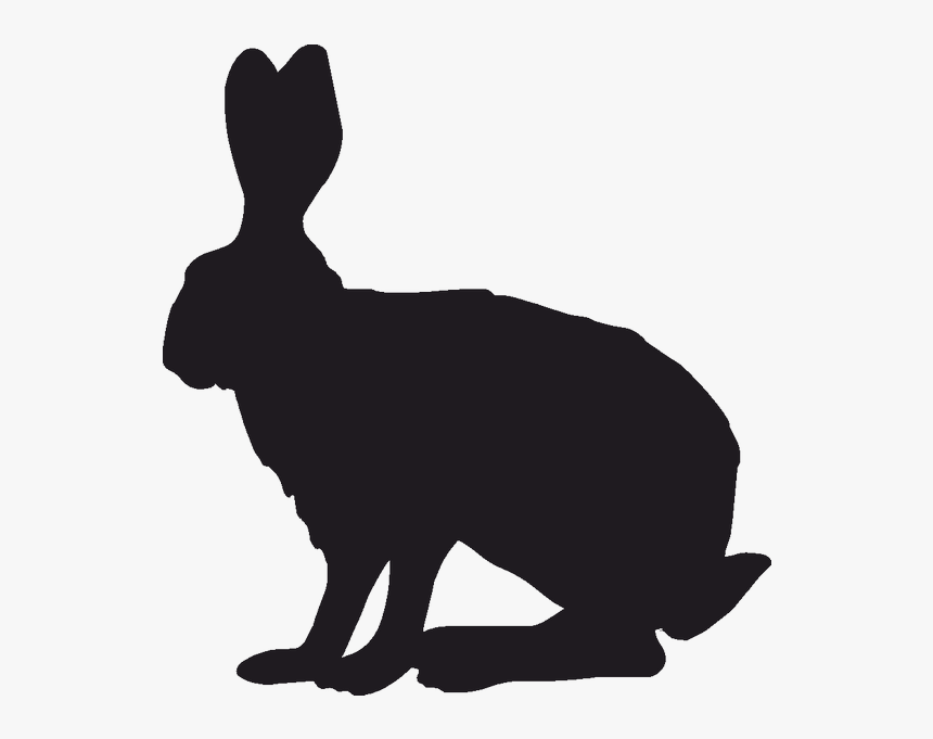 Domestic Rabbit Indian Hare Silhouette Clip Art - Rabbit Alice In Wonderland Silhouette, HD Png Download, Free Download