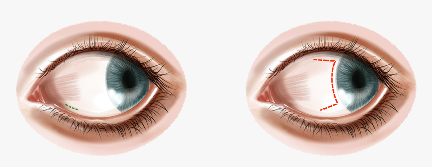 Eye Shadow, HD Png Download, Free Download