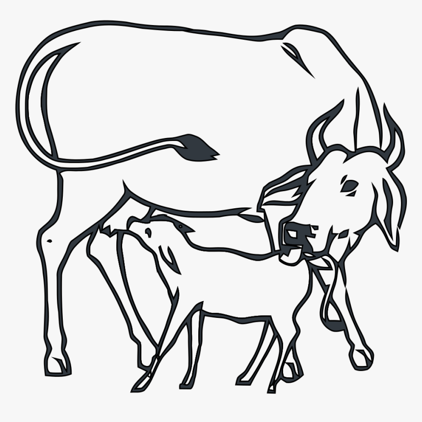 Indian Cow With Calf Png - Drawing Cow With Calf, Transparent Png, Free Download