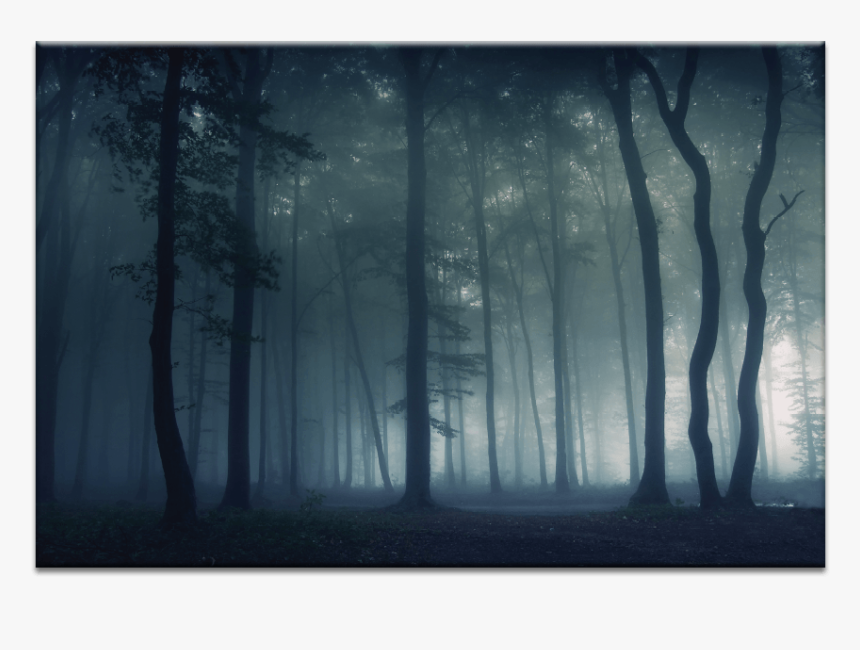 Mysterious Forest - Mysterious Forest Lane, HD Png Download, Free Download
