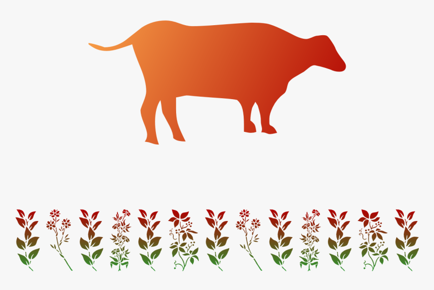 Bull, HD Png Download, Free Download