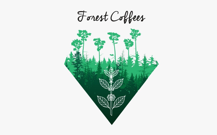 Ethiopia Forest Coffee Logo, HD Png Download, Free Download