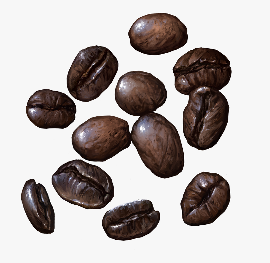 Coffee - Bushfood, HD Png Download, Free Download