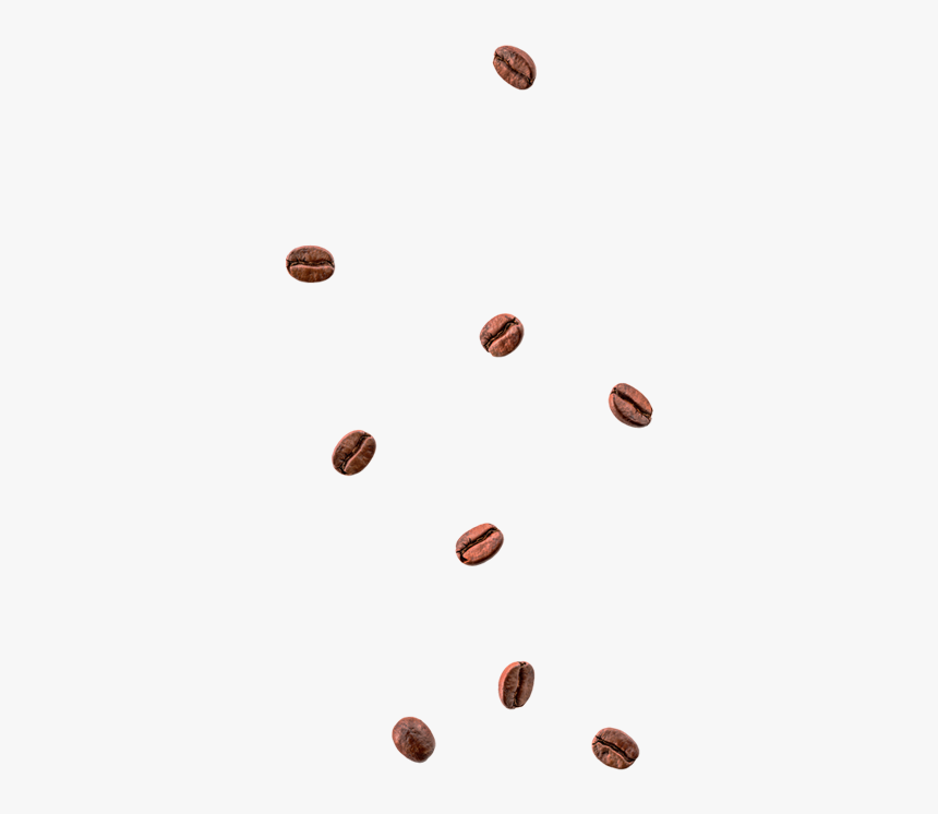 Cafe - Chocolate, HD Png Download, Free Download