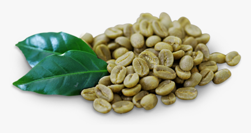 Green Coffee Beans Png, Transparent Png, Free Download