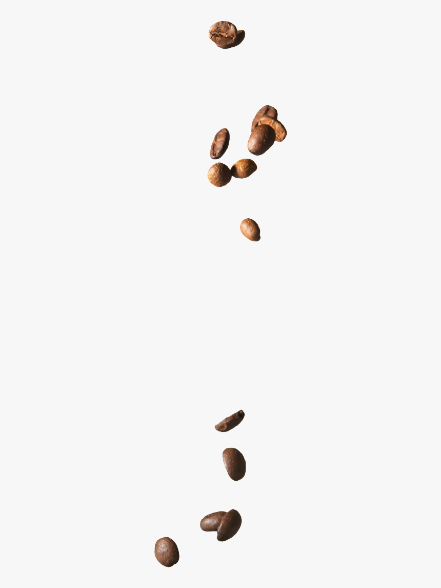Falling Coffee Beans Png, Transparent Png, Free Download