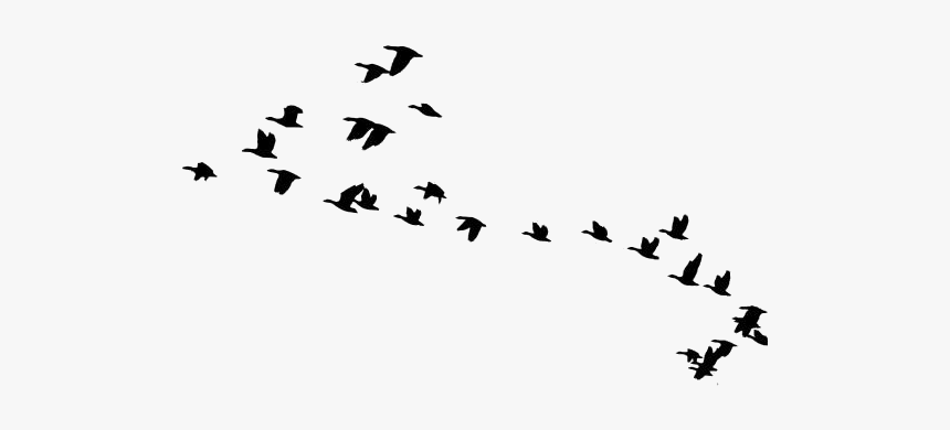 Flock Of Birds Png Transparent Images - Transparent Birds Flying Silhouette, Png Download, Free Download