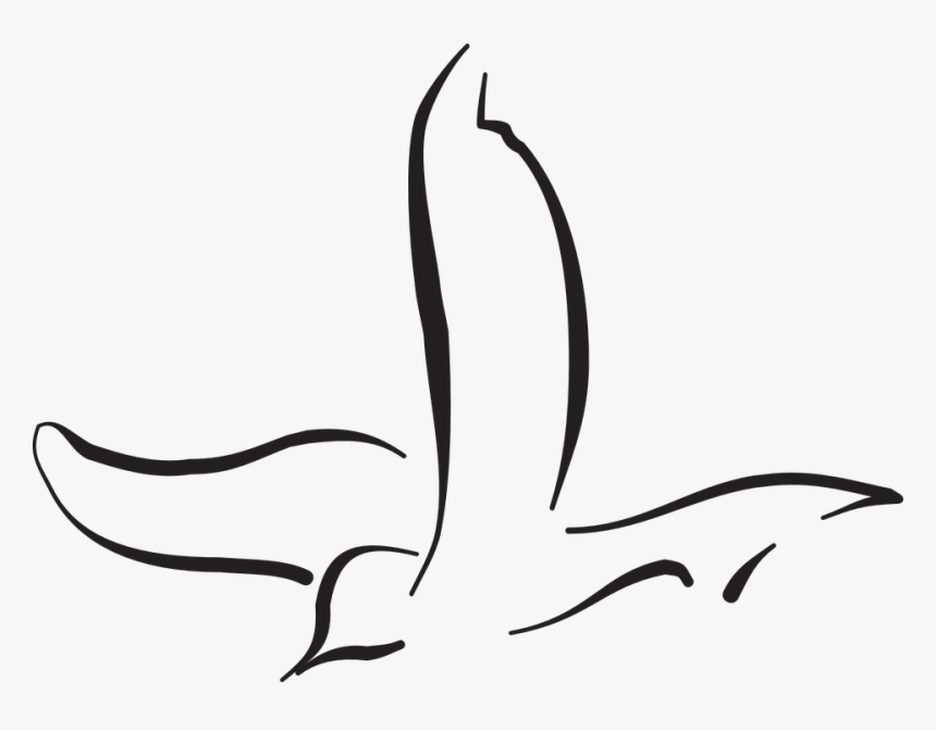 Bird, Flying, Curves, Wings, Line, Fly - Line Art Flying Birds, HD Png Download, Free Download