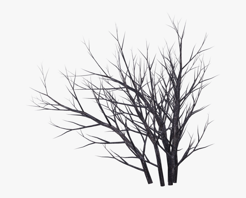 Drawn Bush Tree Branch - Dead Tree Render, HD Png Download, Free Download