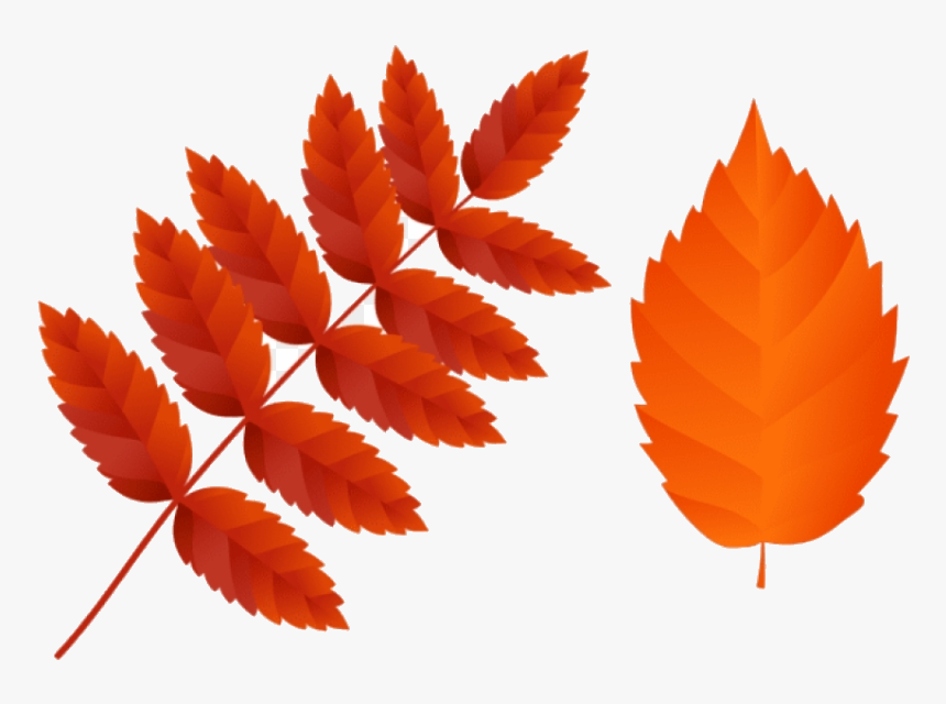 Orange Leaf Free Two Dark Fall Leaves Images Transparent - Free Fall Leaves Png, Png Download, Free Download