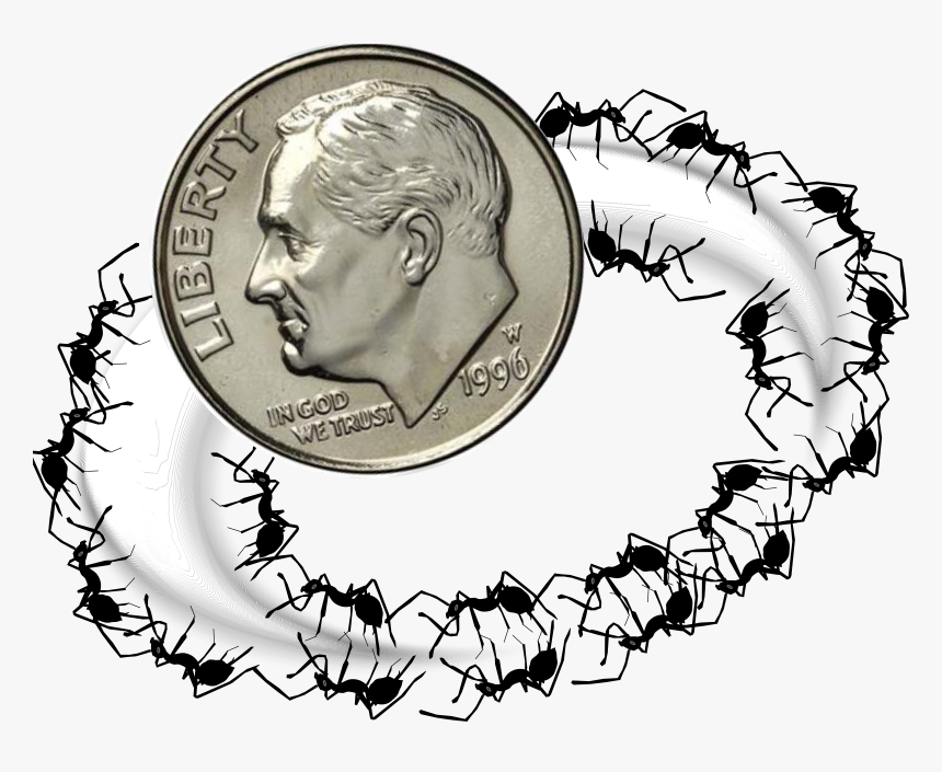 Dime Ant Ring Clip Arts - Dime, HD Png Download, Free Download