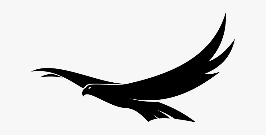 Bird Flying Png Clipart, Transparent Png, Free Download