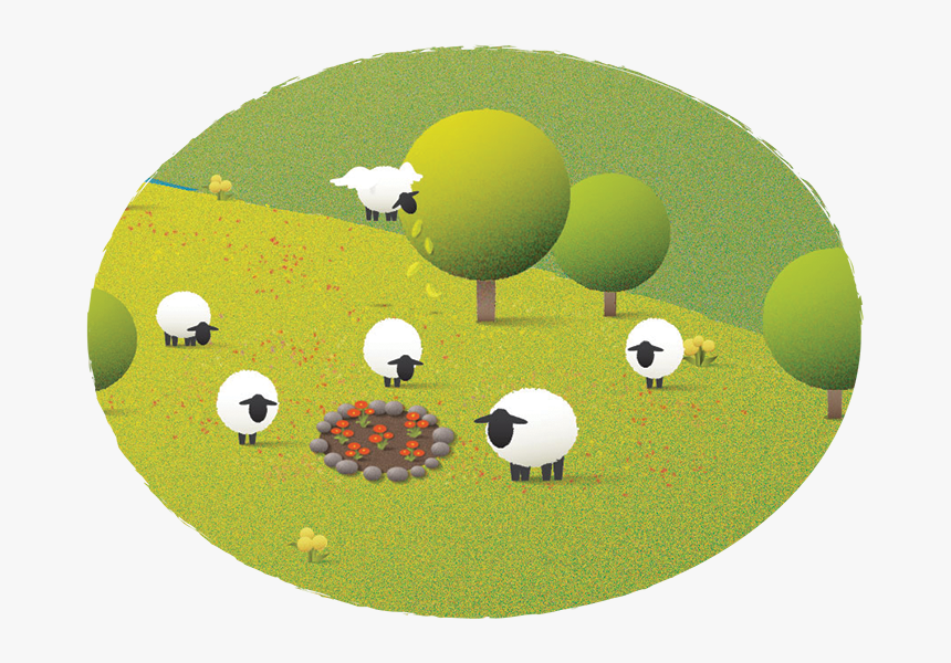 Good Morning Sheep Thumbnail - Illustration, HD Png Download, Free Download