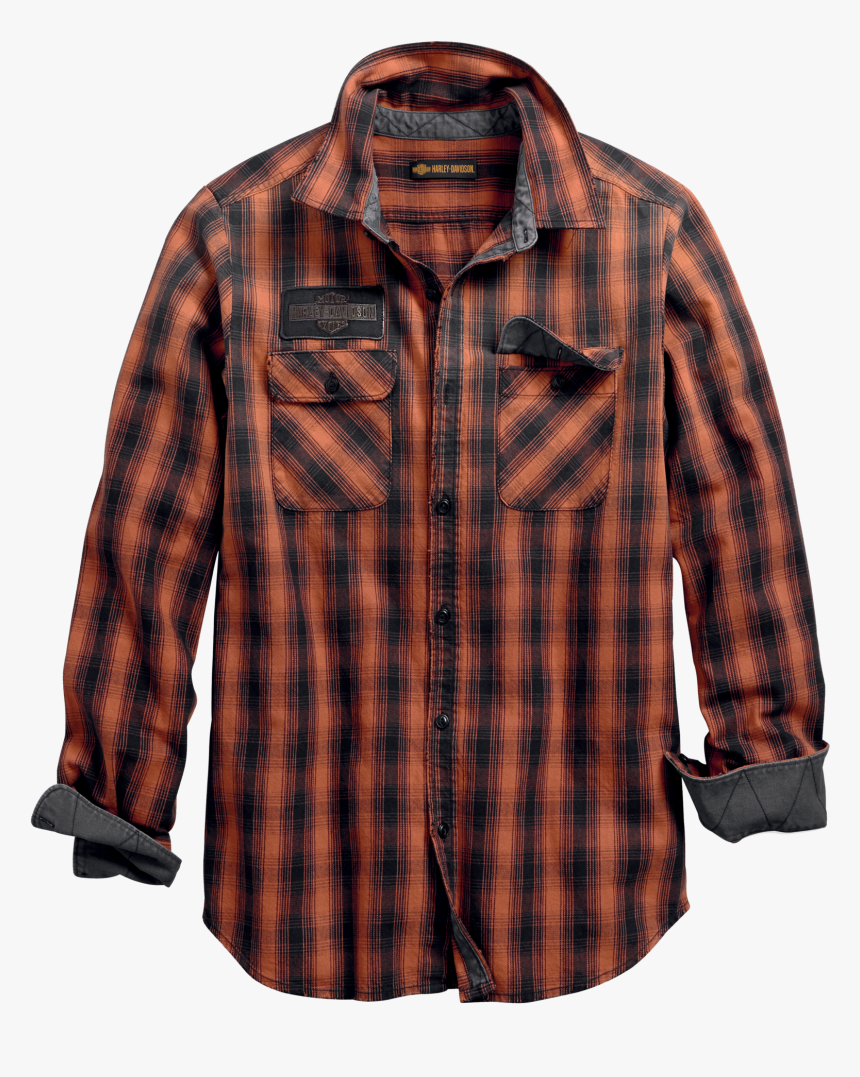 cool colors shirts price