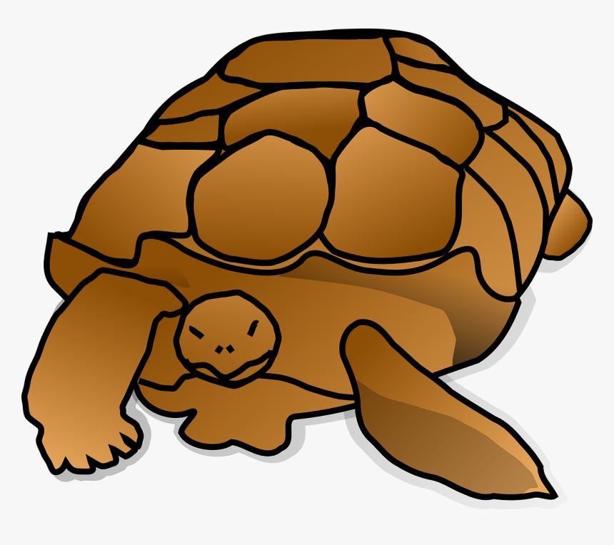 Snapping Turtle Clipart Png, Transparent Png - kindpng.