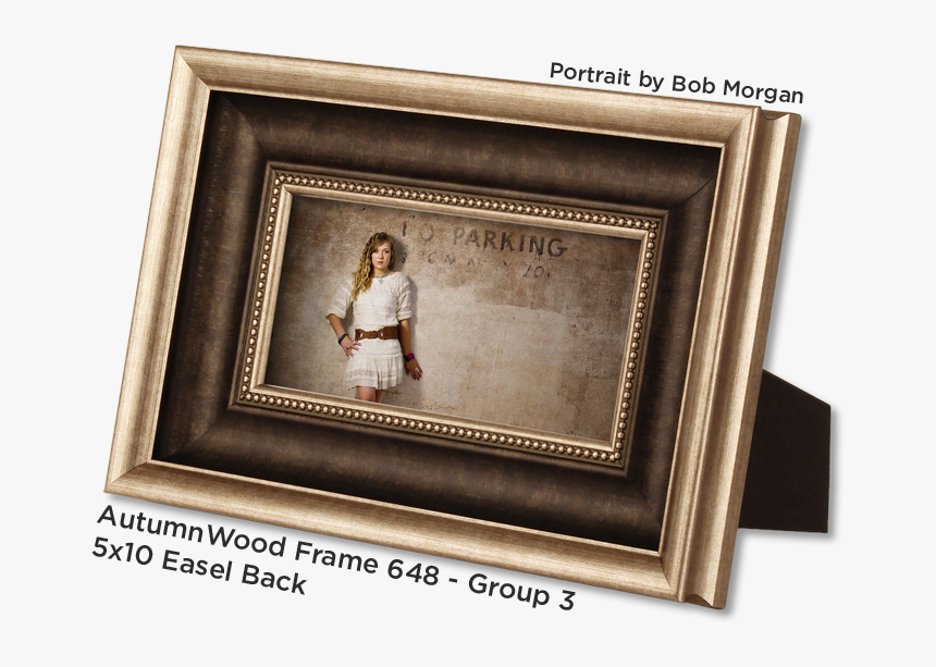 Picture Frame, HD Png Download, Free Download