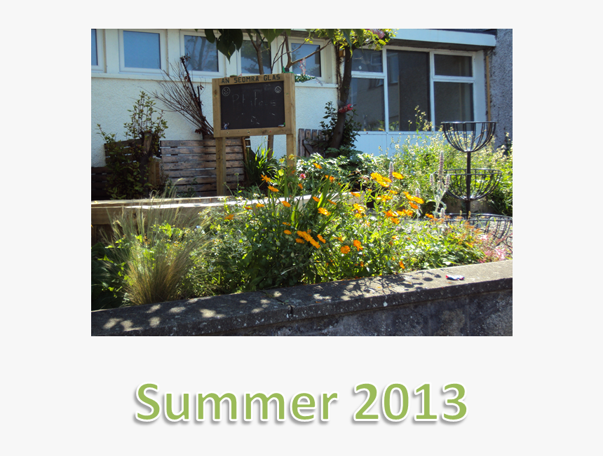 Garden Background Information - School Garden Background, HD Png Download, Free Download