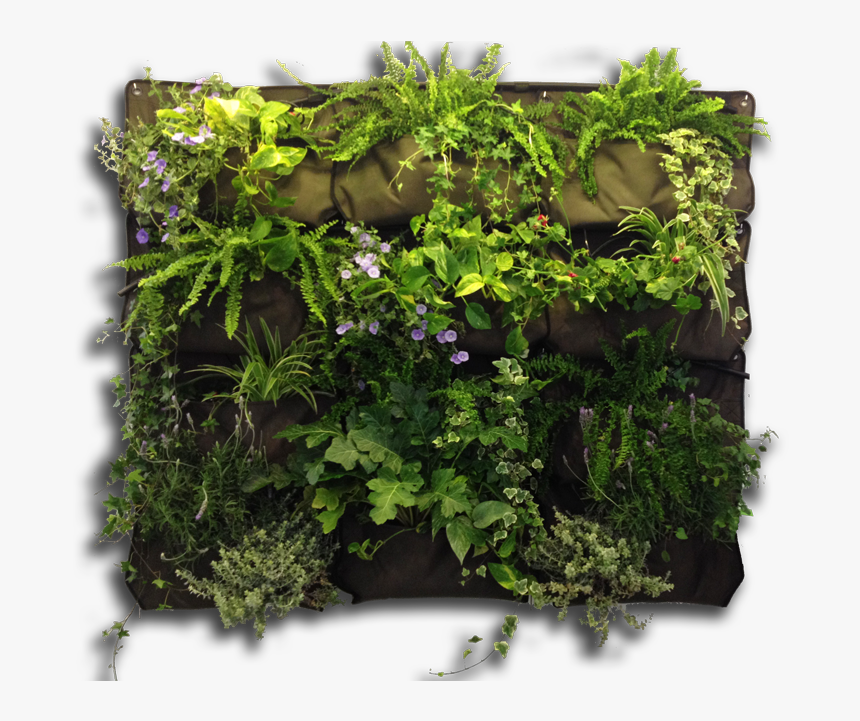 Vertical Garden Png - Vertical Garden Transparent Background, Png Download, Free Download