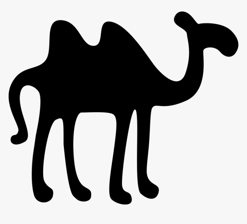 Transparent Camels Png - Arabian Camel, Png Download, Free Download