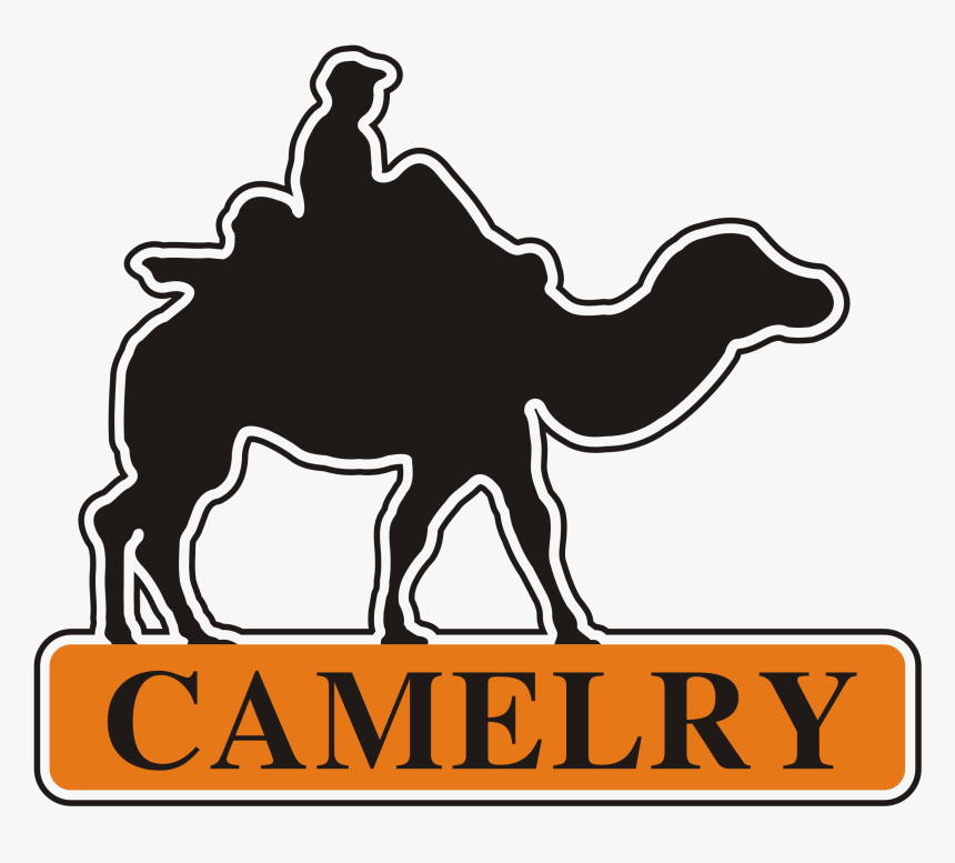 Picture Royalty Free Library Camel Vector Abstract - Air Force Academy Black And White, HD Png Download, Free Download