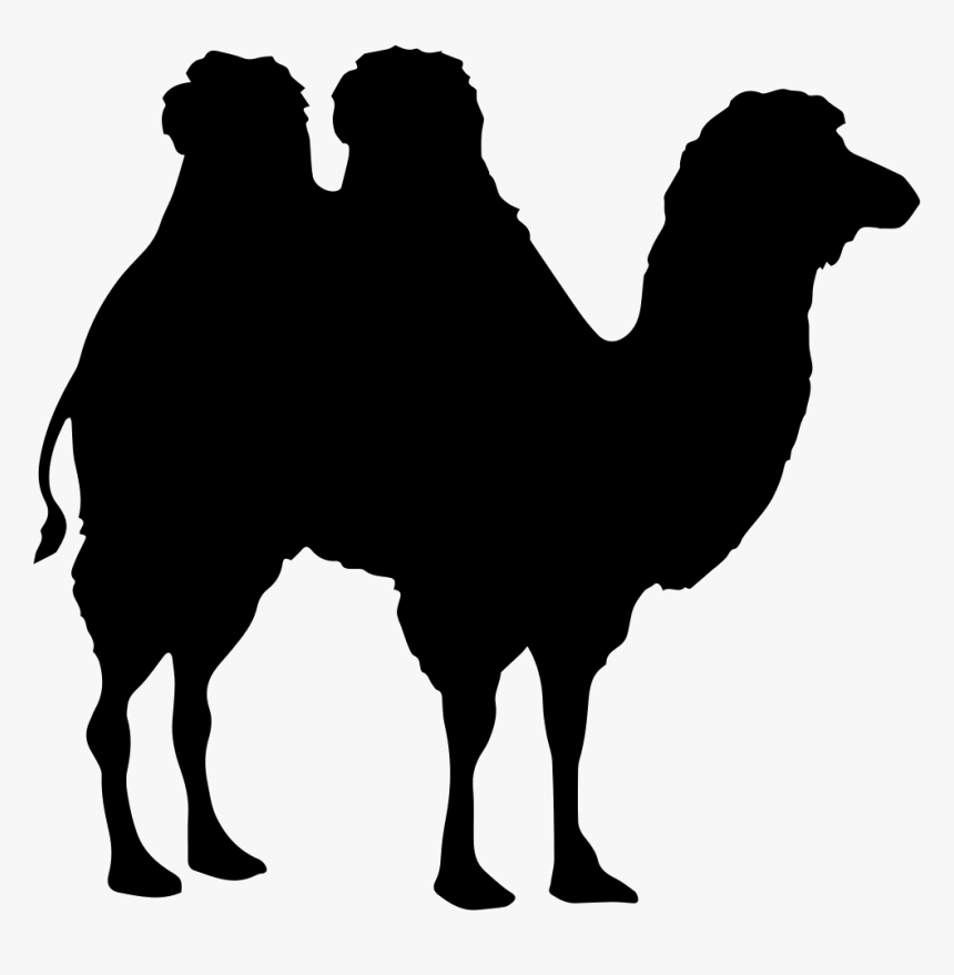 Camel Shape - Camel Silhouettes Png, Transparent Png, Free Download