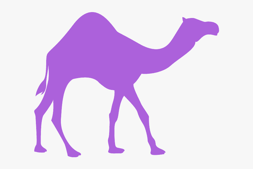 Silhouette Of Camel, HD Png Download, Free Download