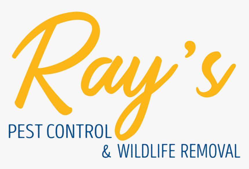 Ray"s Pest Control - Calligraphy, HD Png Download, Free Download