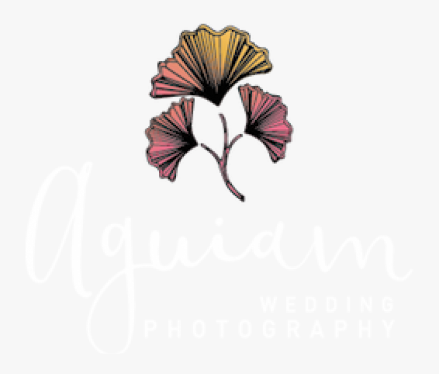 Aguiam Wedding Photography Logo - Hawaiian Hibiscus, HD Png Download, Free Download