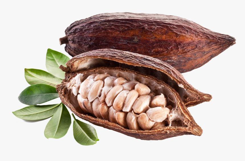 Cacao With Bones Png Image - Cocoa Pods And Beans, Transparent Png, Free Download