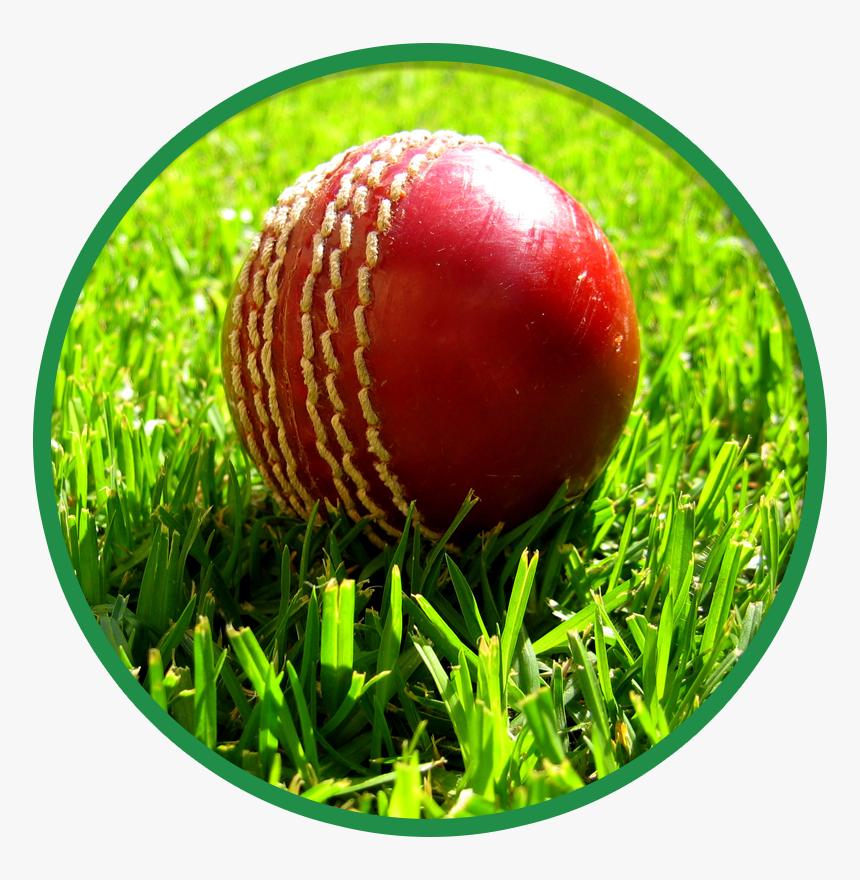 Cricket Wallpaper For Mobile, HD Png Download, Free Download