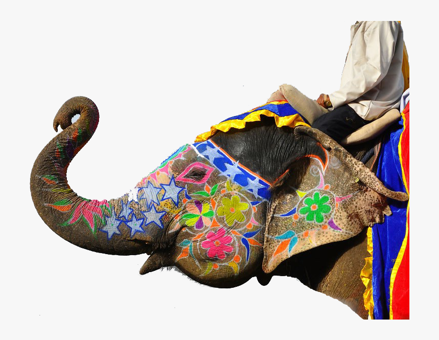 Jaipur Elephant Festival Png Clipart - Indian Elephant, Transparent Png, Free Download