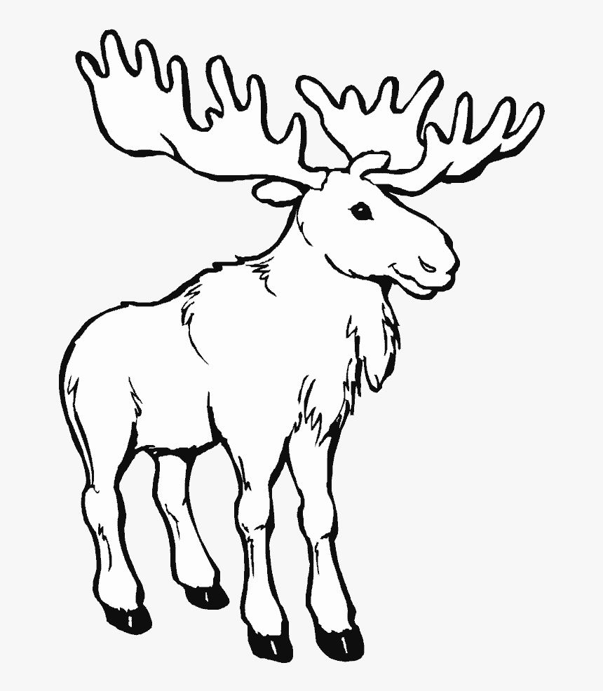 Transparent Elk Clipart Black And White - Moose Coloring Pages, HD Png Download, Free Download