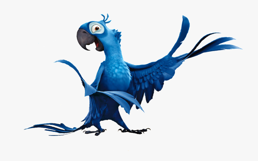Blue Studios Macaw Parrot Sky Day Rio Clipart - Dessin Animé Perroquet Bleu, HD Png Download, Free Download